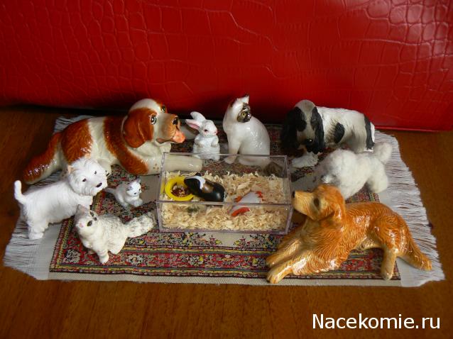 Жильцы Дома Мечты фото, ссылки, обсуждение