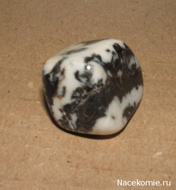 Энергия камней № 44 Зебровый камень (окатанный камень) фото, обсуждение
