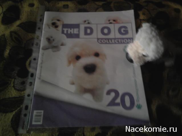 The Dog Collection №20 Французская болонка