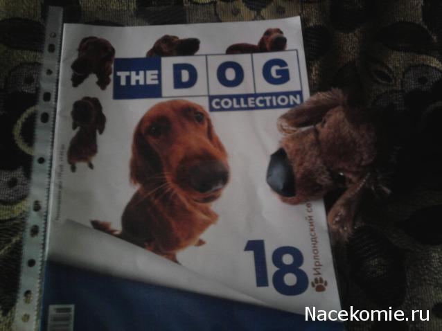 The Dog Collection №18 Ирландский сеттер