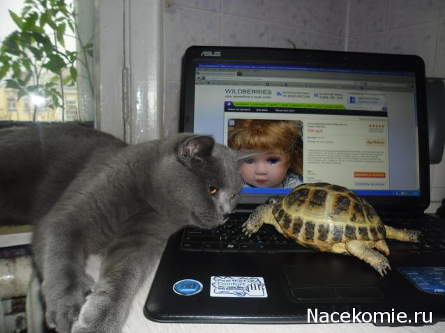 Дом Мечты. Болталка 2 или... будем знакомы