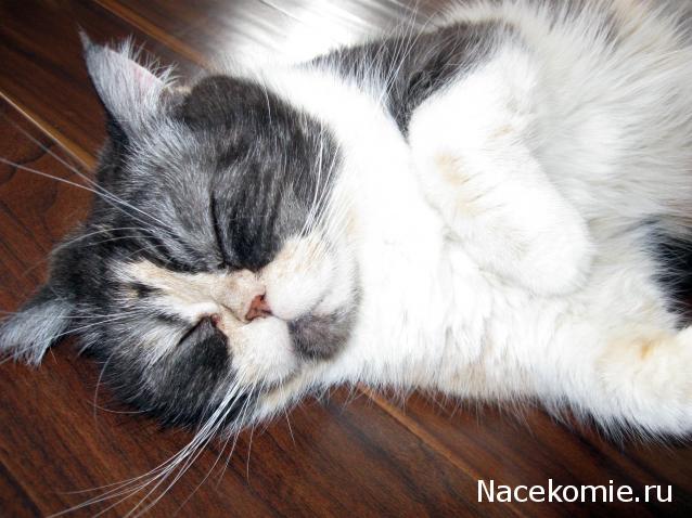 Дом Мечты. Болталка 2 или... будем знакомы