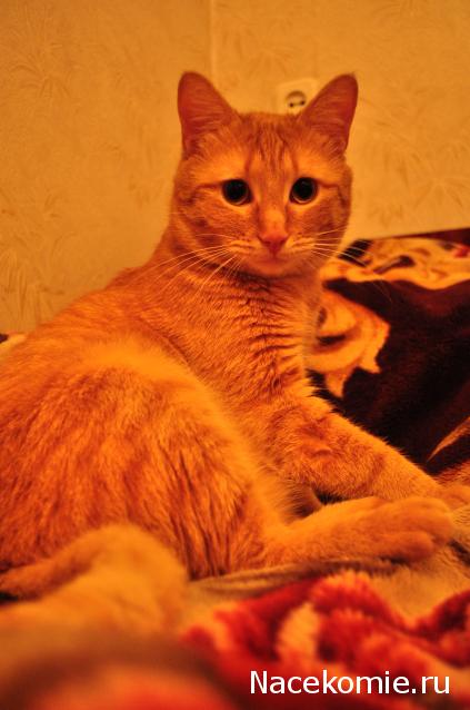 Дом Мечты. Болталка 2 или... будем знакомы