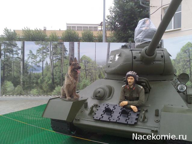 Танкодром (Общая Болталка танковых разделов)