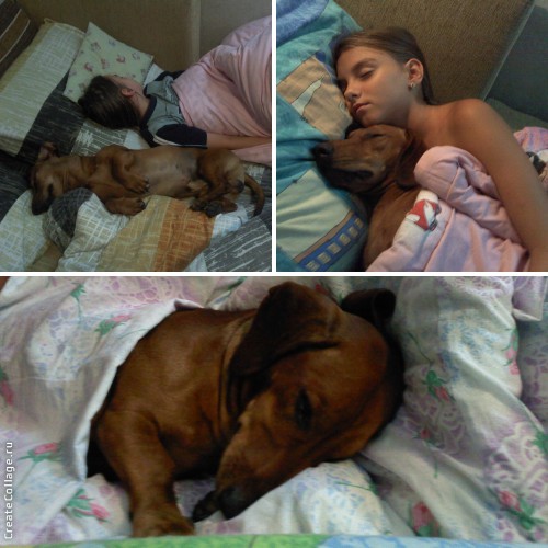 Дом Мечты. Болталка 2 или... будем знакомы