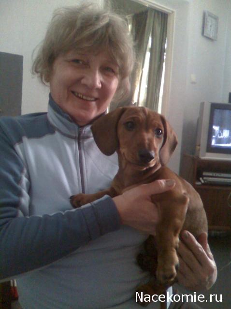 Дом Мечты. Болталка 2 или... будем знакомы