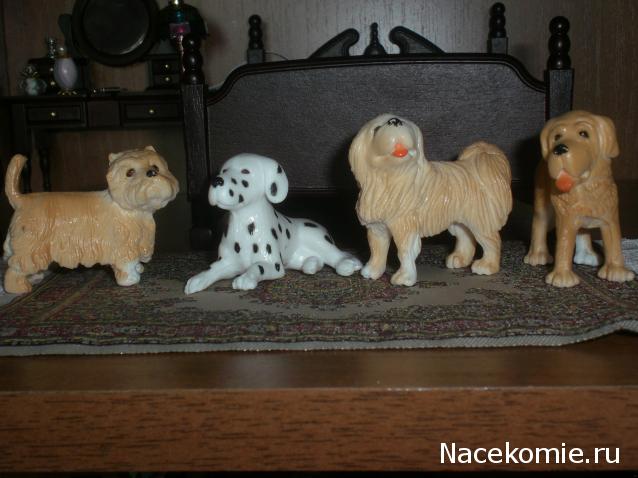 Дом мечты Каркас Дома
