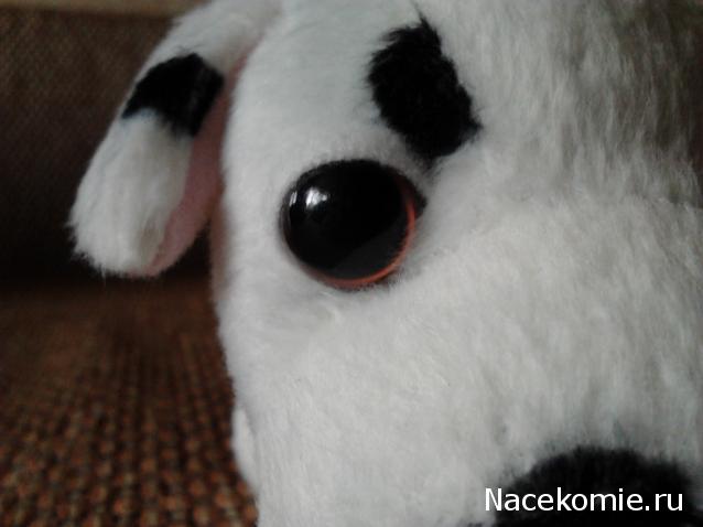 The Dog Collection №6 Далматин