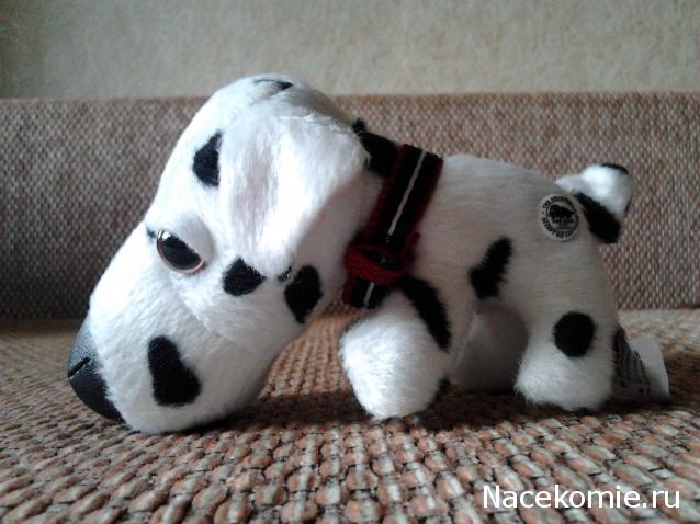 The Dog Collection №6 Далматин