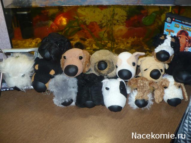 The Dog Collection Болталка