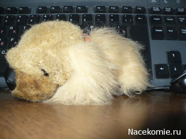 The Dog Collection №17 Пекинес