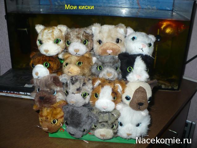 Кошкин дом. Болталка The Cat Collection