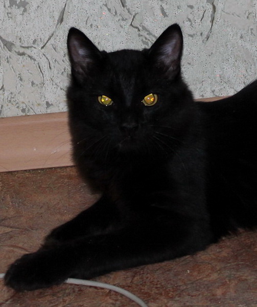 Дом Мечты. Болталка 2 или... будем знакомы