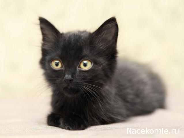 Дом Мечты. Болталка 2 или... будем знакомы