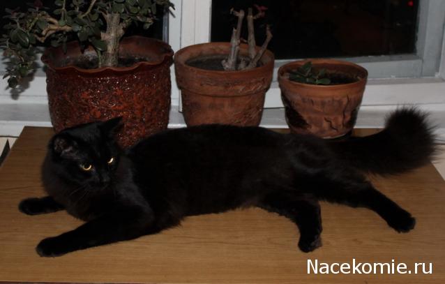 Дом Мечты. Болталка 2 или... будем знакомы