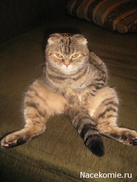 Дом Мечты. Болталка 2 или... будем знакомы