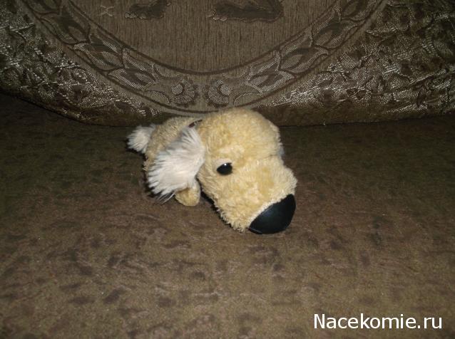 The Dog Collection №23 Золотистый ретривер