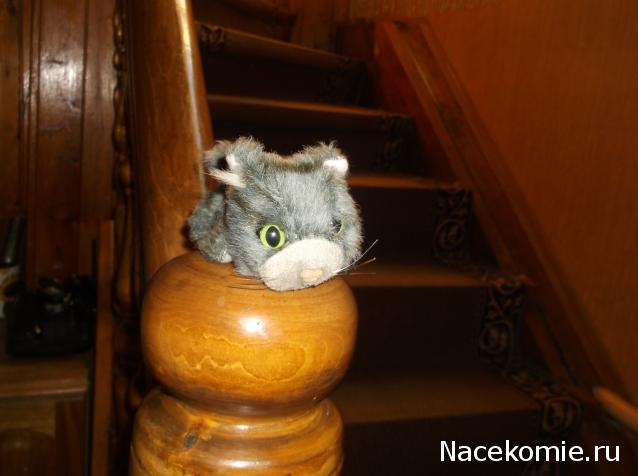 The Cat Collection №13 Норвежский лесной кот Фото