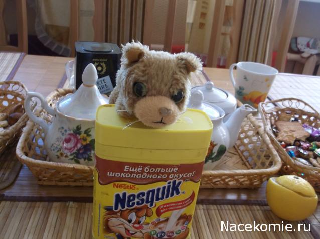 The Cat Collection №14 Сомалийский кот Фото