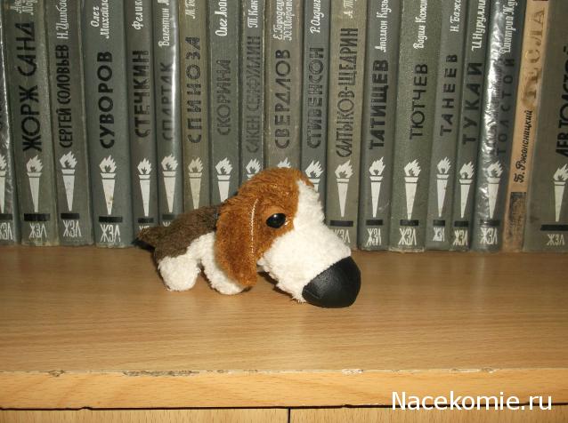 The Dog Collection №22 Бигль