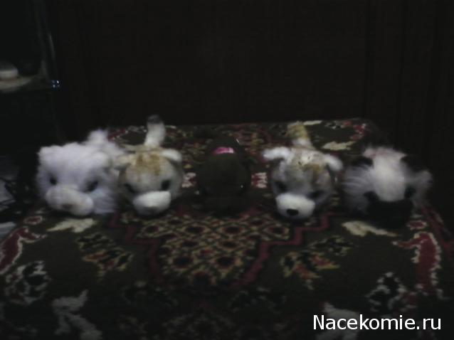 Кошкин дом. Болталка The Cat Collection