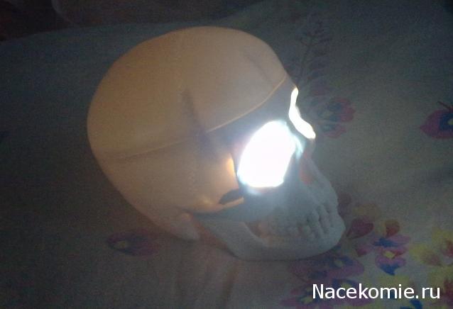 Собери и познай человеческое тело 2012 (Скелет Переиздание)