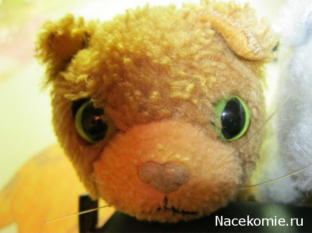 The Cat Collection №14 Сомалийский кот Фото