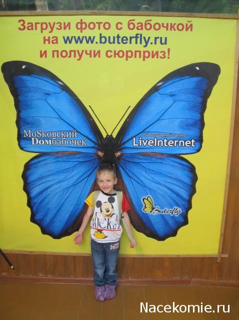 Бронзовка