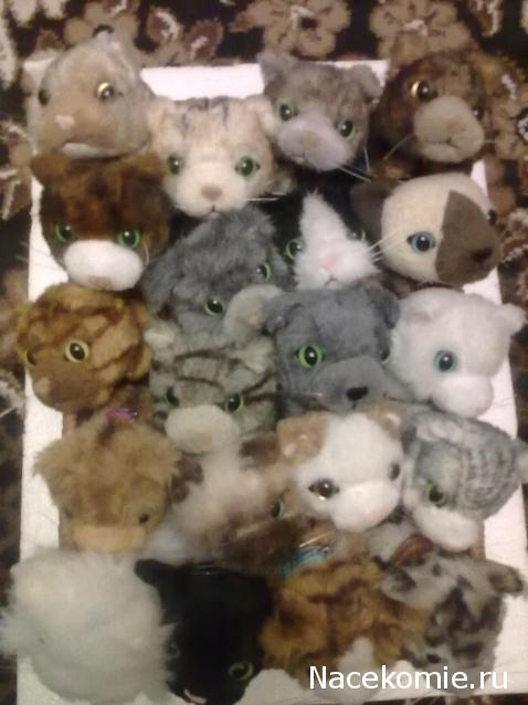 Кошкин дом. Болталка The Cat Collection