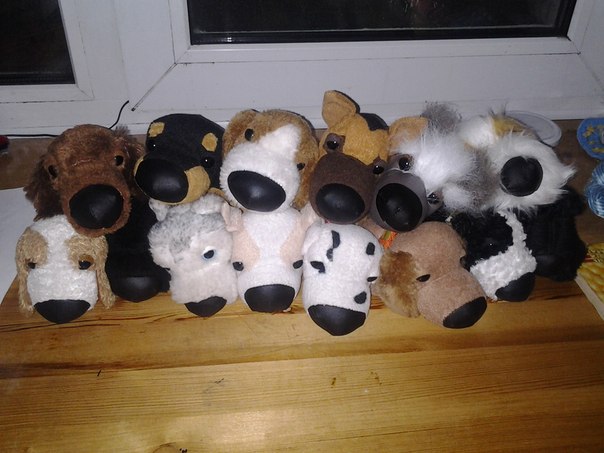 The Dog Collection Болталка