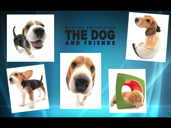 The Dog Collection Болталка