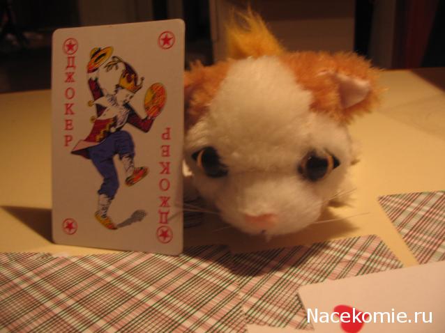 The Cat Collection № 10 Турецкий ван Фото