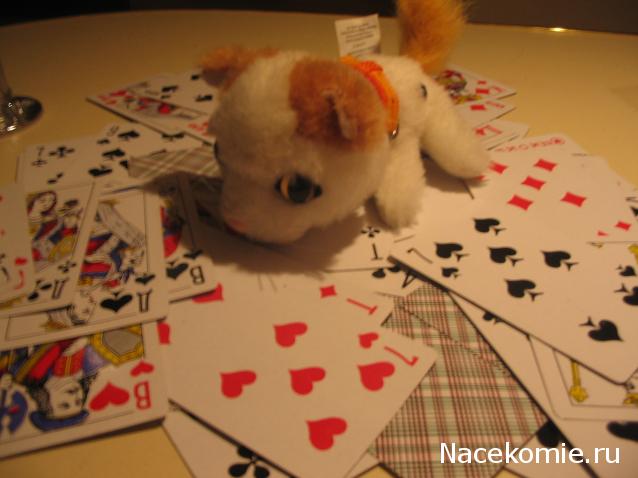 The Cat Collection № 10 Турецкий ван Фото