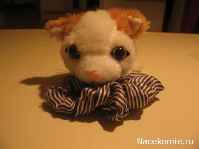 The Cat Collection № 10 Турецкий ван Фото