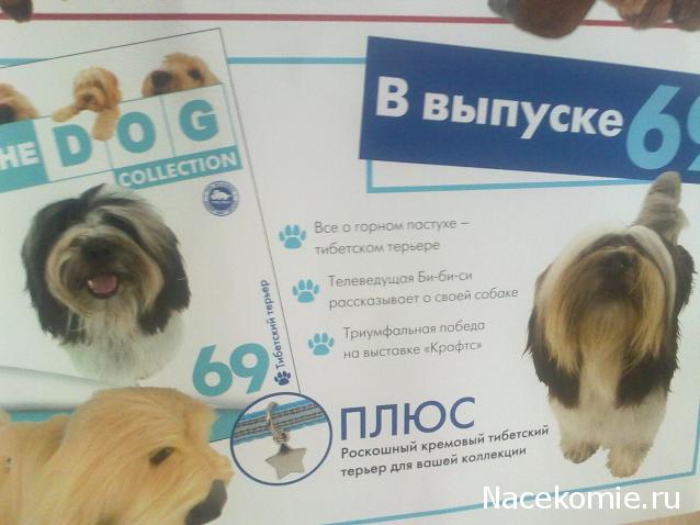 The Dog Collection №67 Вандейский бассет-грифон