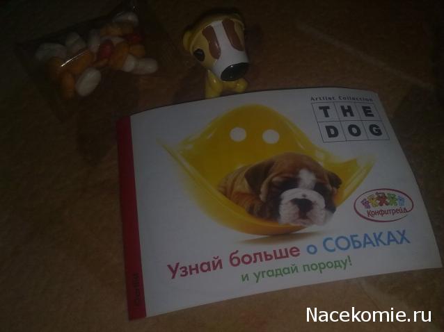 The Dog Collection Болталка