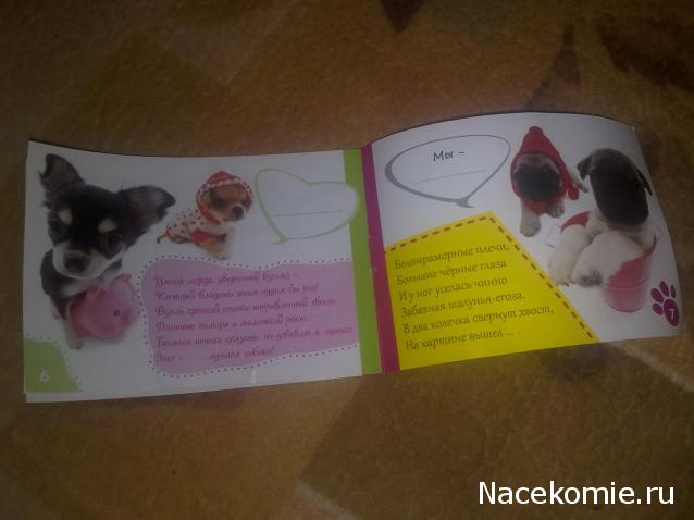 The Dog Collection Болталка