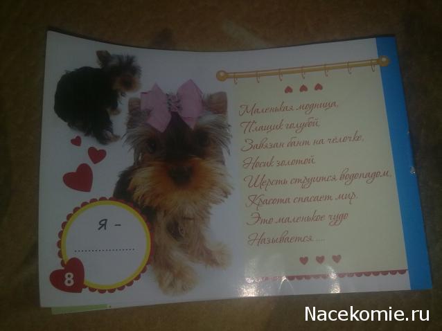 The Dog Collection Болталка