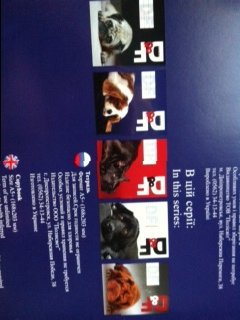 The Dog Collection Болталка