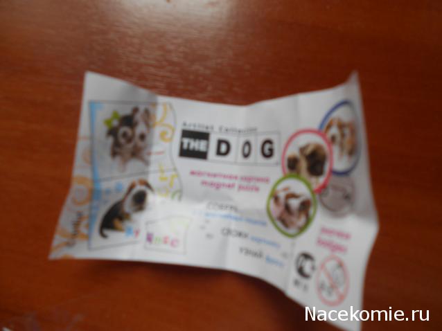 The Dog Collection Болталка