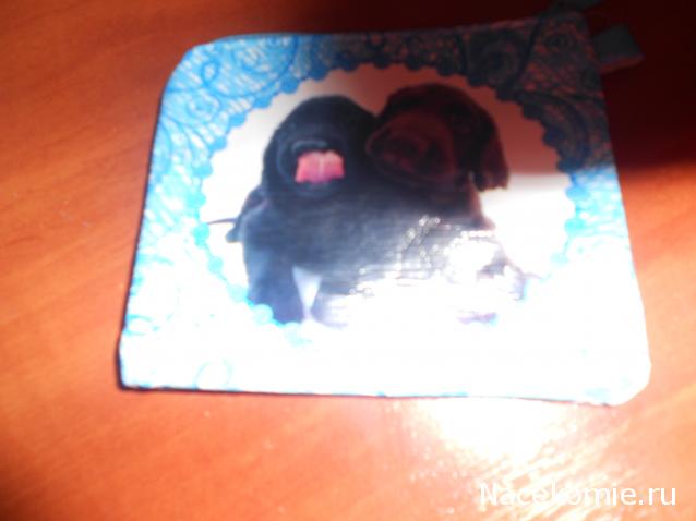 The Dog Collection Болталка