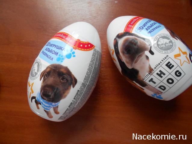 The Dog Collection Болталка