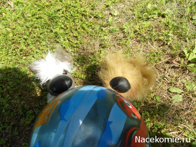 The Dog Collection Болталка