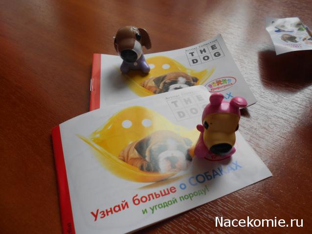 The Dog Collection Болталка