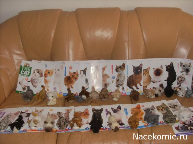 Кошкин дом. Болталка The Cat Collection