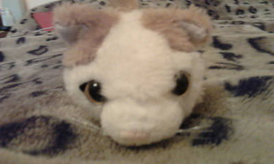 The Cat Collection №26 Балийская кошка Фото