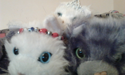 The Cat Collection №26 Балийская кошка Фото