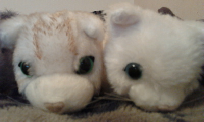 The Cat Collection №26 Балийская кошка Фото