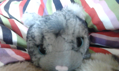 The Cat Collection №26 Балийская кошка Фото