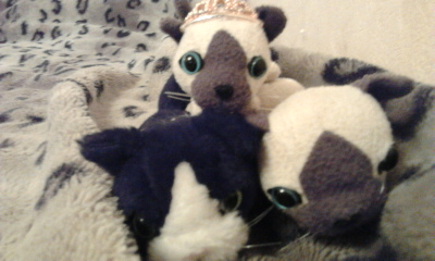 The Cat Collection №26 Балийская кошка Фото